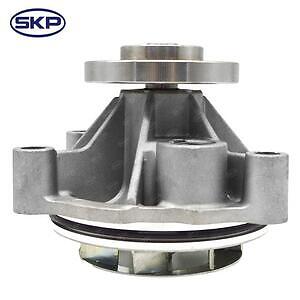 New Water Pump  Skyward Automotive  SK1255970