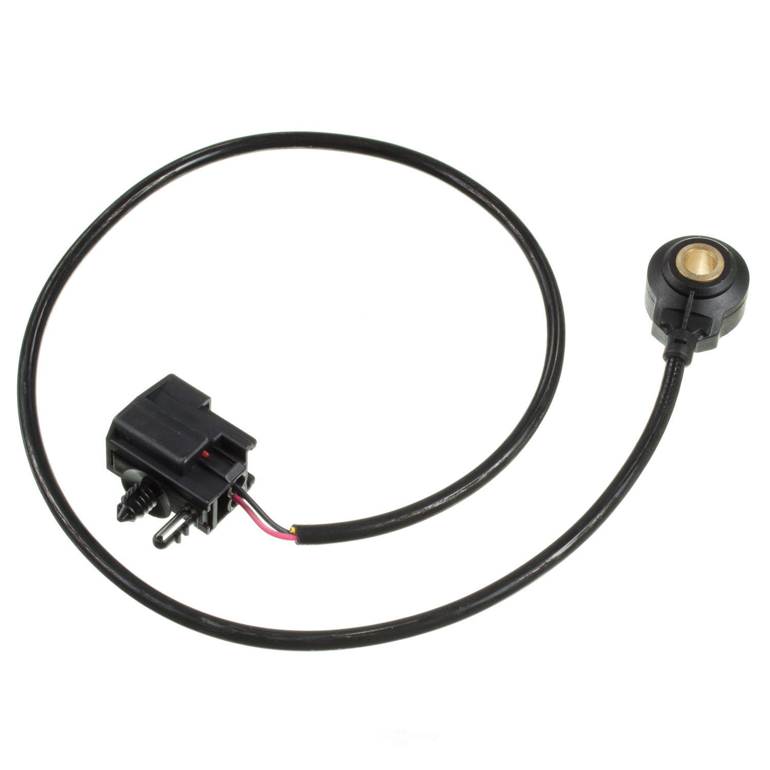 Knock Sensor   Holstein   2KNC0031