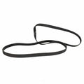 Serpentine Belt  Motorcraft  JK6-891