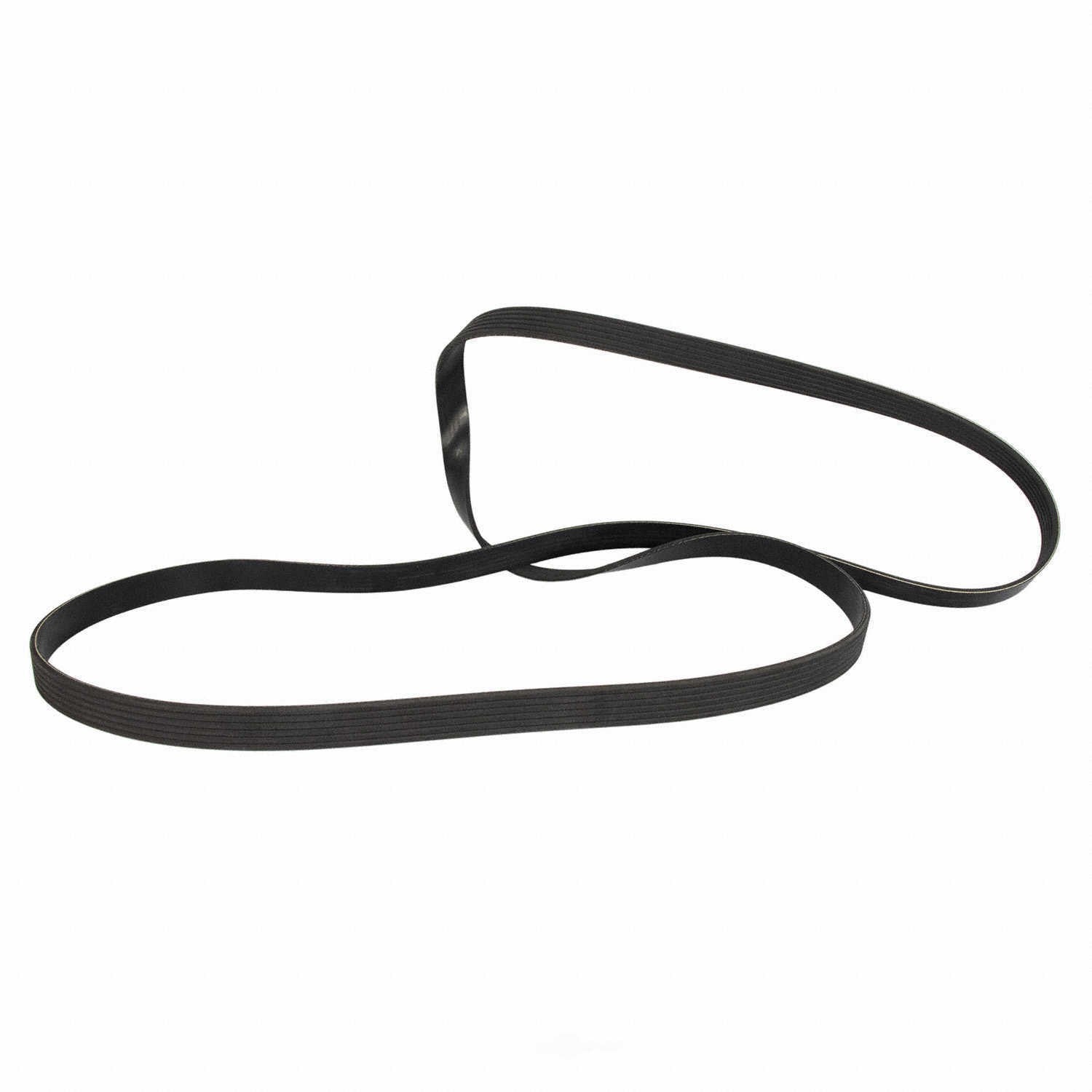 Serpentine Belt  Motorcraft  JK6-891