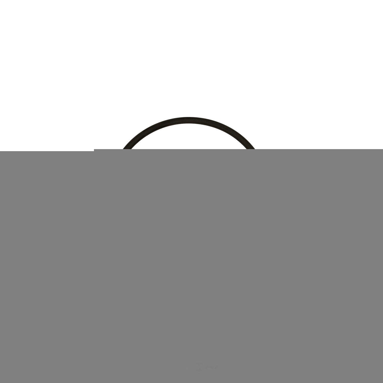Diff Output Shaft Seal   Fel-Pro   55485