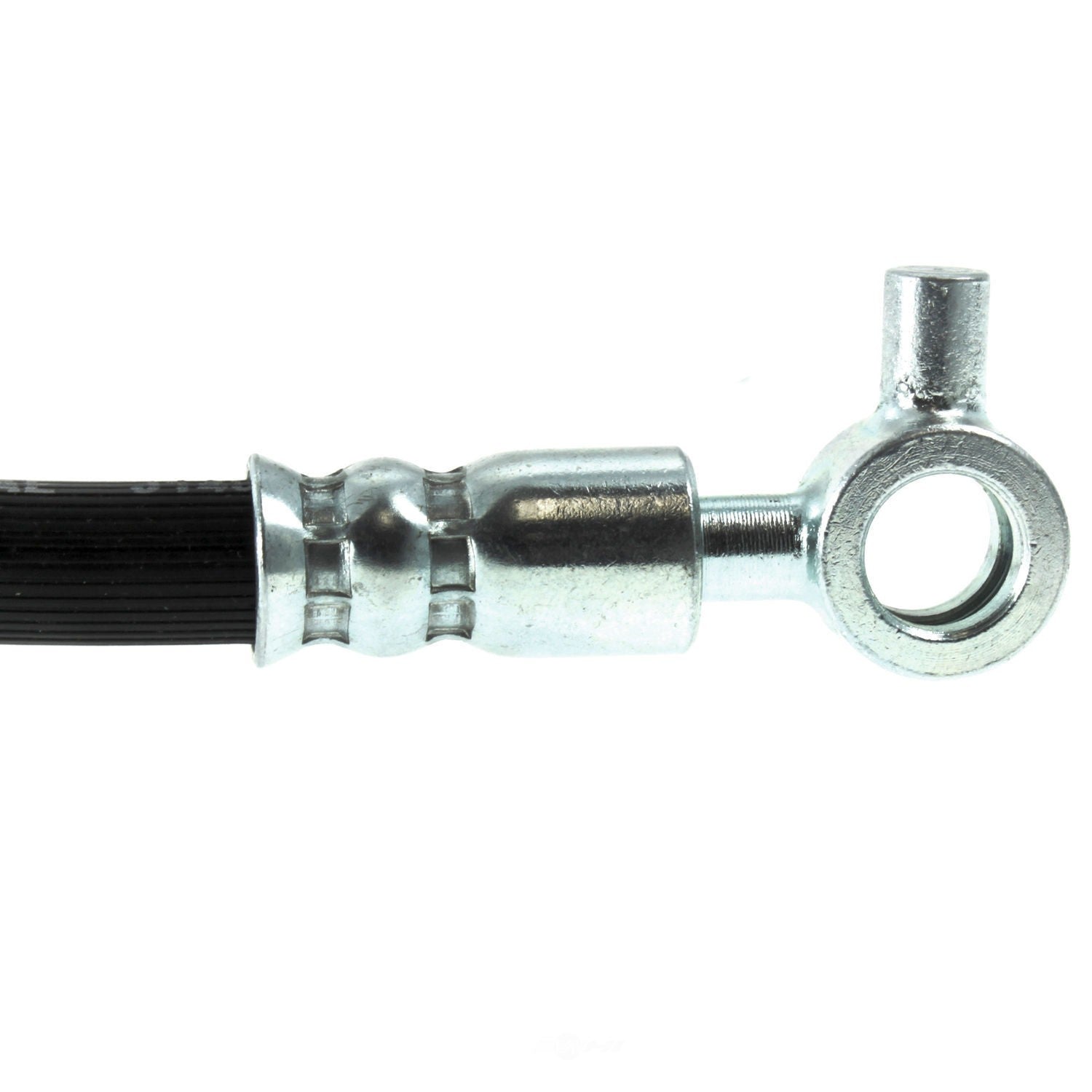 Rr Brake Hose  Centric Parts  150.45354