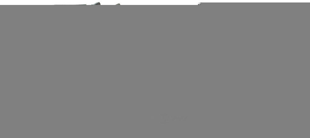 Headlight Assy  Dorman  1590738