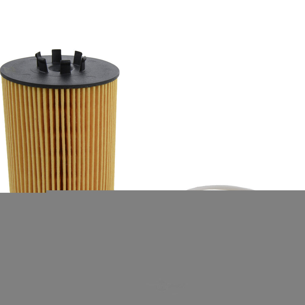 Oil Filter  Champ/Champion Labs  P929