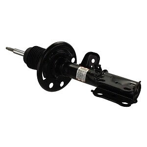 Frt Strut  Motorcraft  AST12271