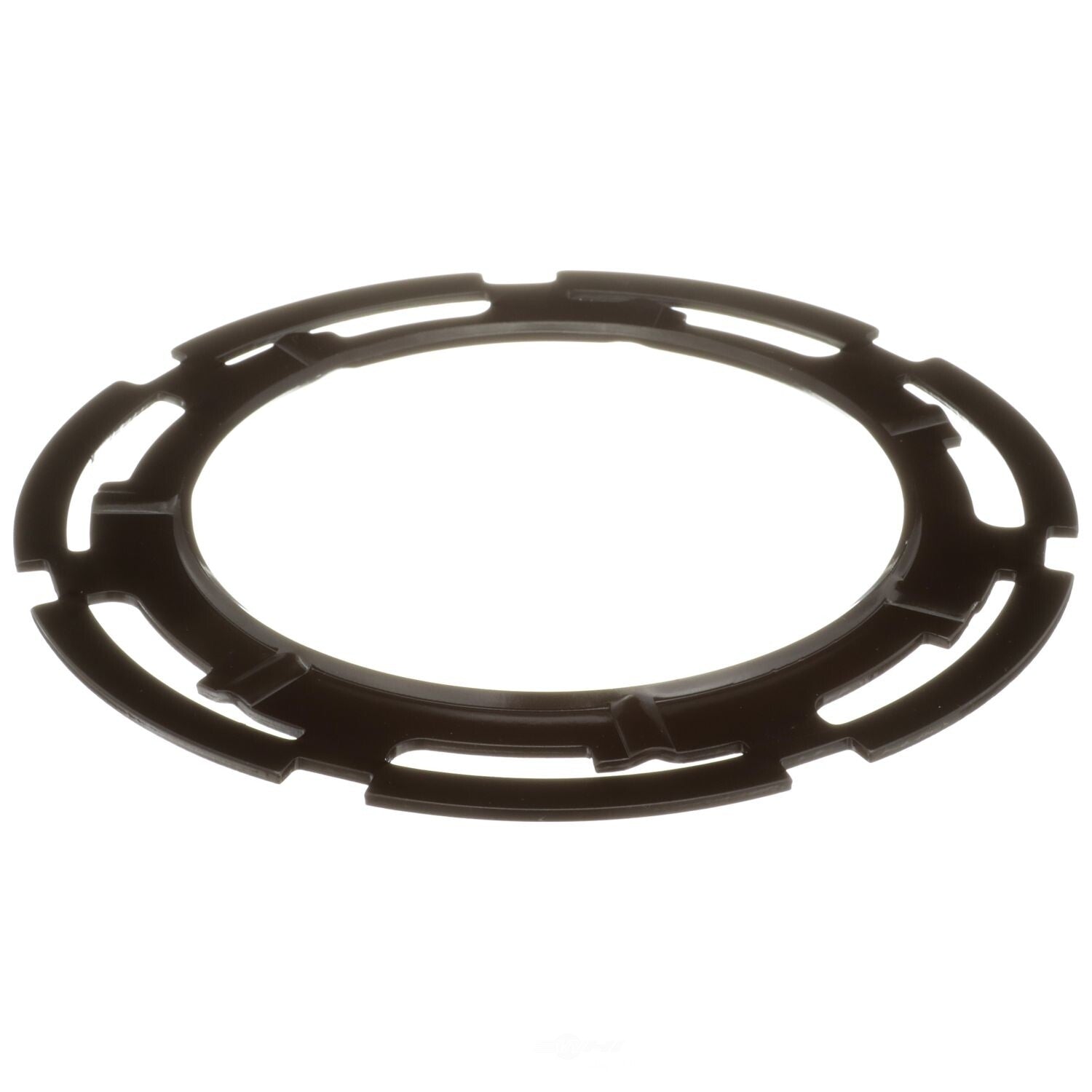 Locking Ring  Delphi  FA10025