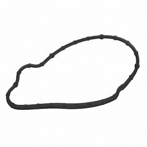 Fuel Pump Gasket  Motorcraft  CG820