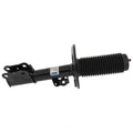 Frt Strut  Motorcraft  ASH85893
