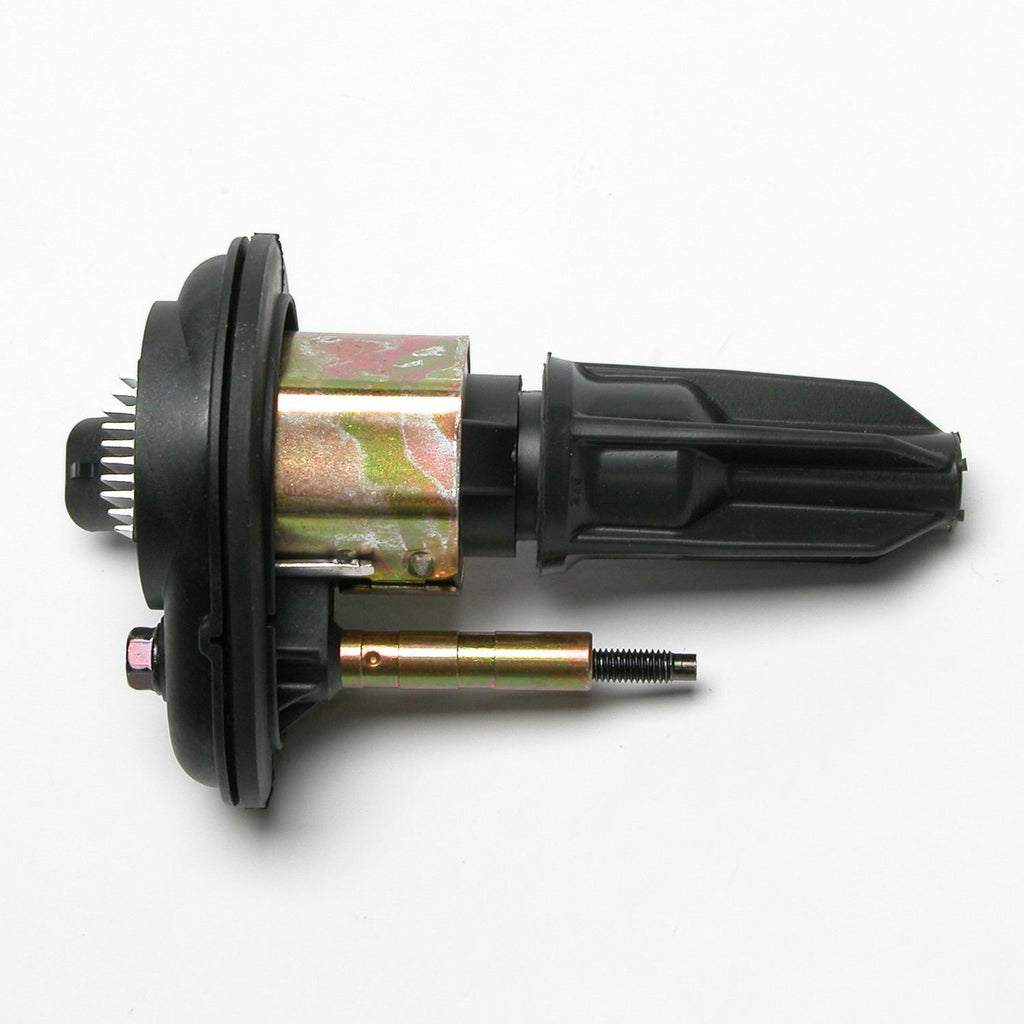 Ignition Coil  Delphi  GN10114