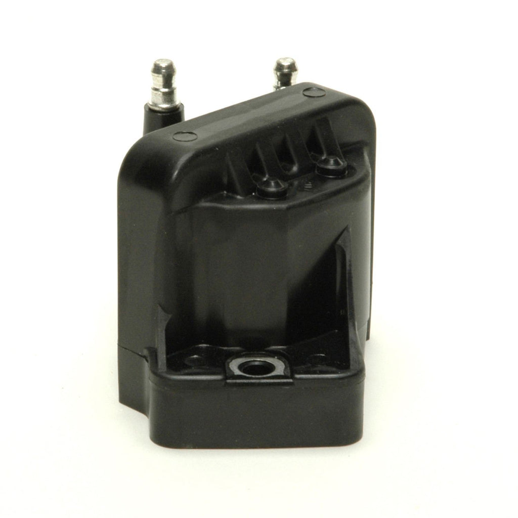 Ignition Coil  Delphi  GN10123