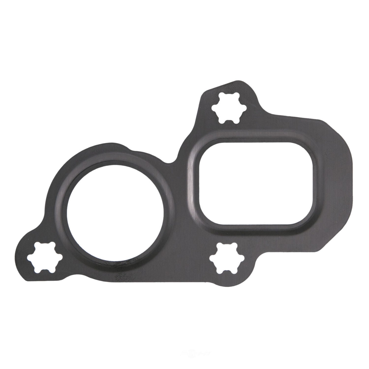 Water Pump Mounting Gasket   Fel-Pro   36110