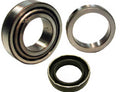 Rr Wheel Bearing Kit  SKF  WKH131