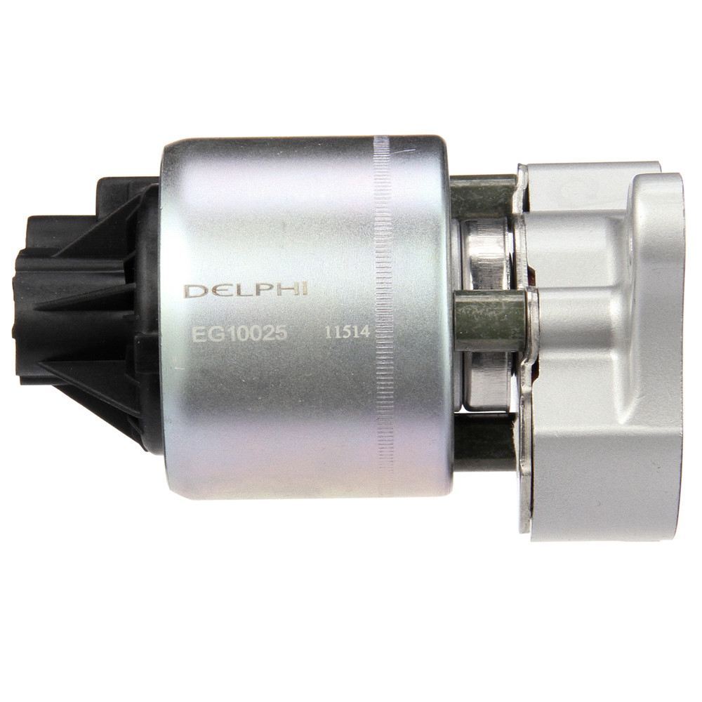 EGR Valve  Delphi  EG10025