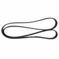 Serpentine Belt  Motorcraft  JK6-693