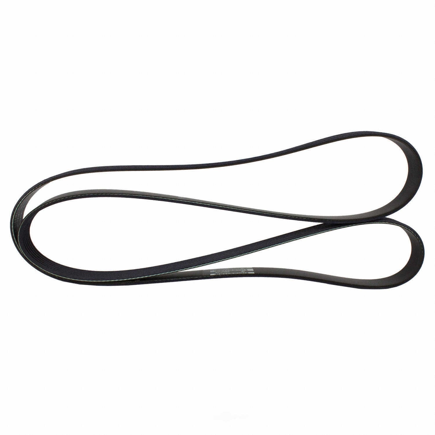 Serpentine Belt  Motorcraft  JK6-693