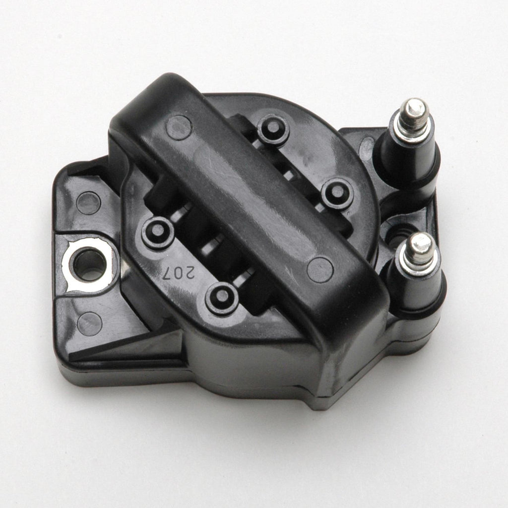 Ignition Coil  Delphi  GN10123