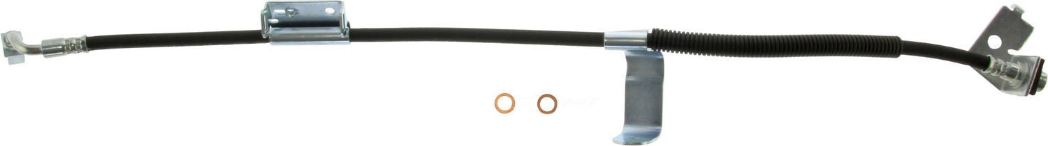 Frt Brake Hose  Centric Parts  150.66110
