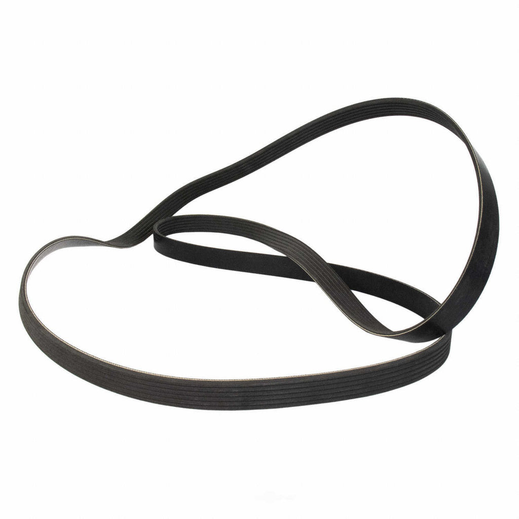 Serpentine Belt  Motorcraft  JK6-891