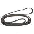 Serpentine Belt  Motorcraft  JK7-1223