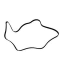 Serpentine Belt  Skyward Automotive  SK060875