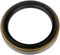 Wheel Bearing Seal  SKF  19647
