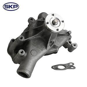 New Water Pump  Skyward Automotive  SK1301250