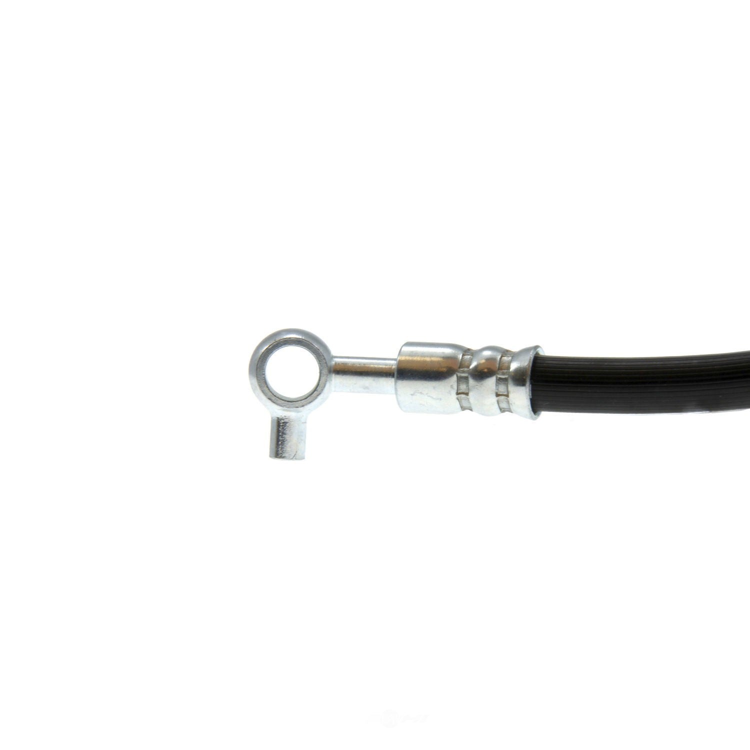 Frt Brake Hose  Centric Parts  150.42107