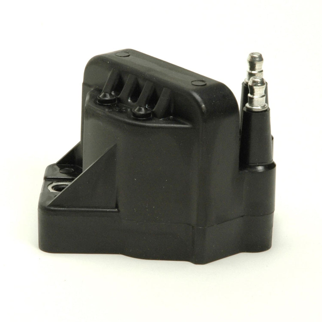 Ignition Coil  Delphi  GN10123