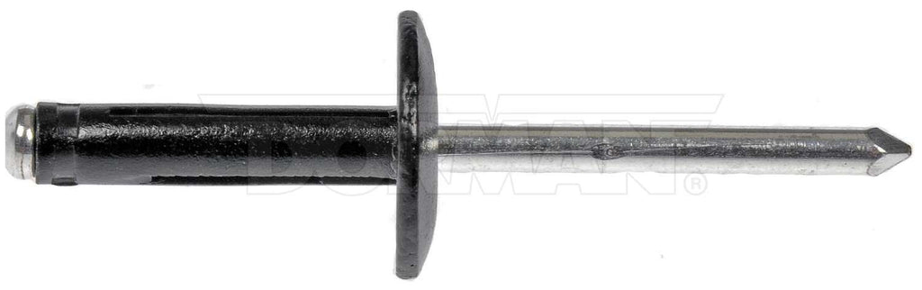 Molding Retainer/Clip  Dorman  963-205D
