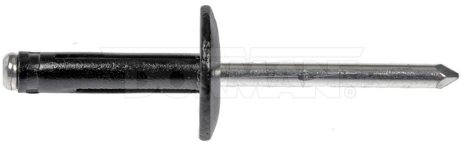 Molding Retainer/Clip  Dorman  963-205D