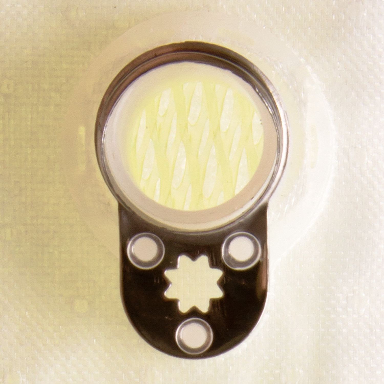 Fuel Pump Strainer  Delphi  FS0110