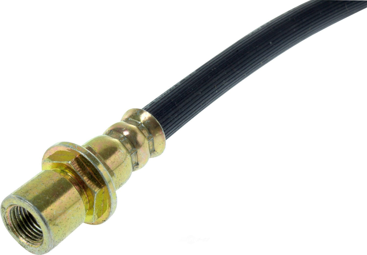 Rr Brake Hose  Centric Parts  150.66392