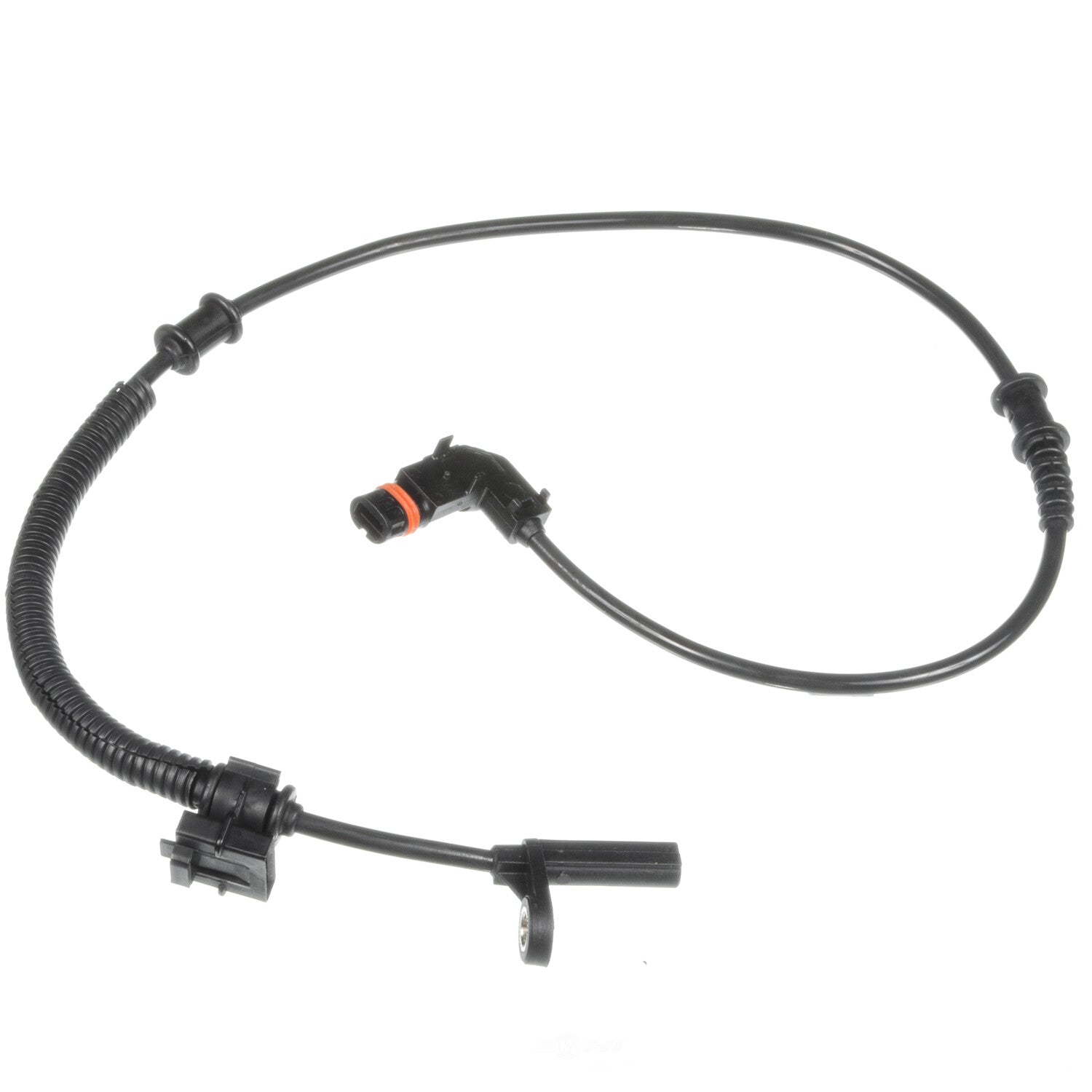 Rr Wheel ABS Brake Sensor   Holstein   2ABS2702