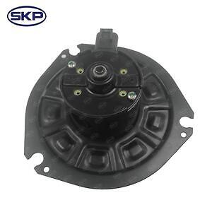 New Blower Motor  Skyward Automotive  SK700067
