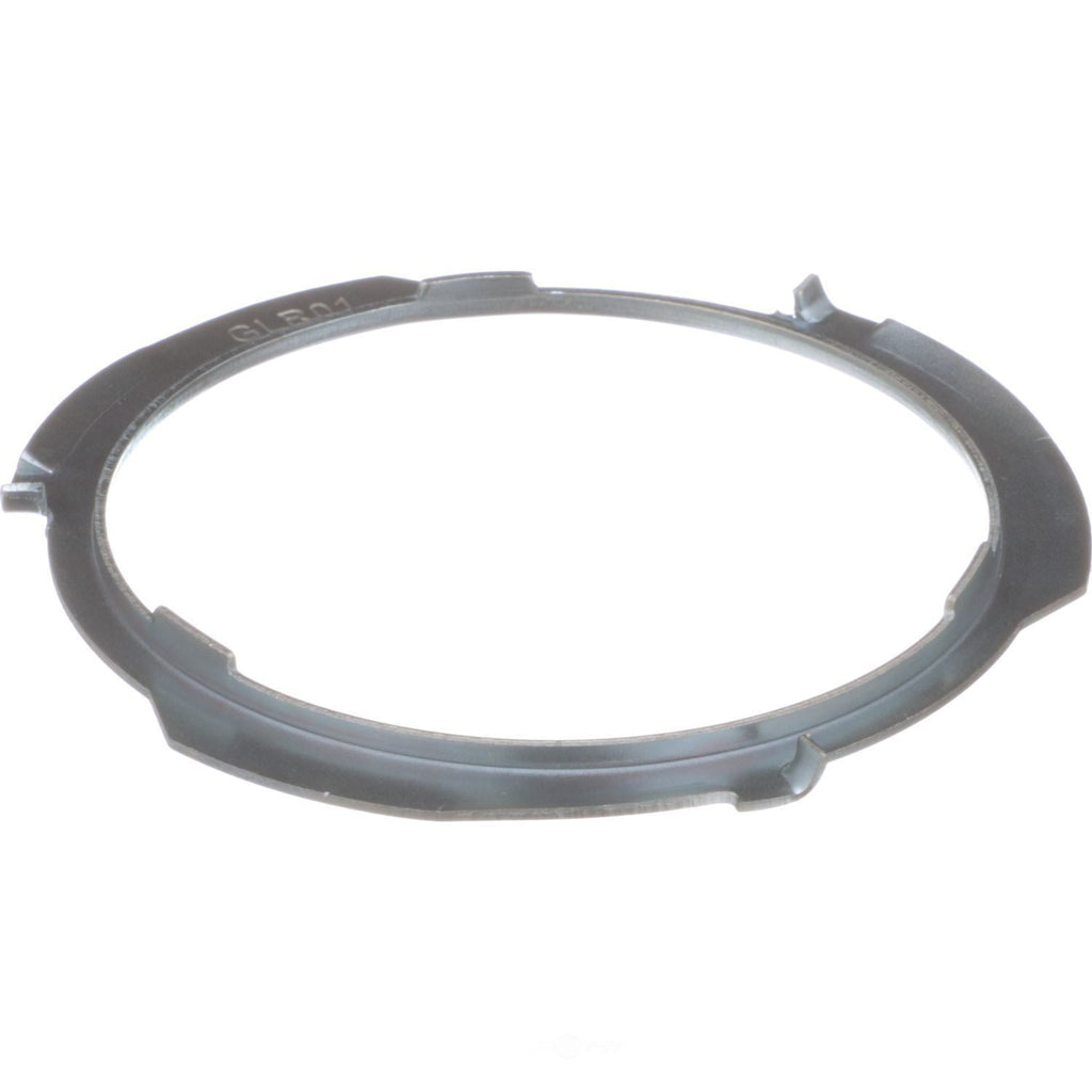 Locking Ring  Delphi  FA10028