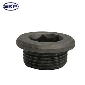 Diff Drain Plug  Skyward Automotive  SKY01451
