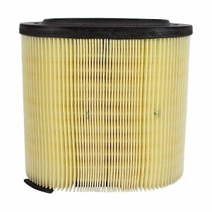 Air Filter  Motorcraft  FA1928