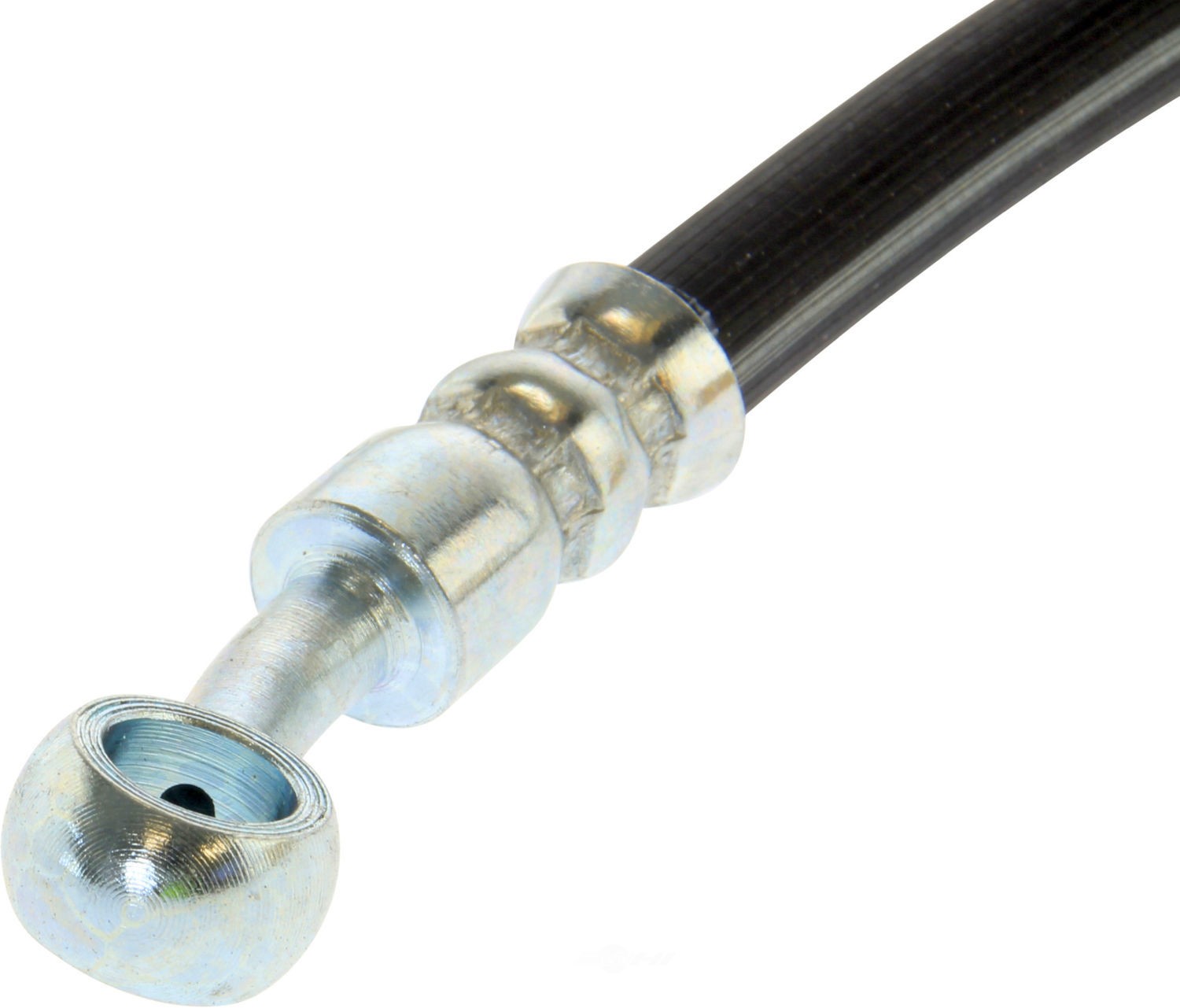 Rr Brake Hose  Centric Parts  150.40395