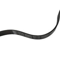 Serpentine Belt  Skyward Automotive  SK060874A