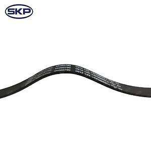 Serpentine Belt  Skyward Automotive  SK060790