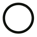 Water Pump Mounting Gasket   Fel-Pro   36099