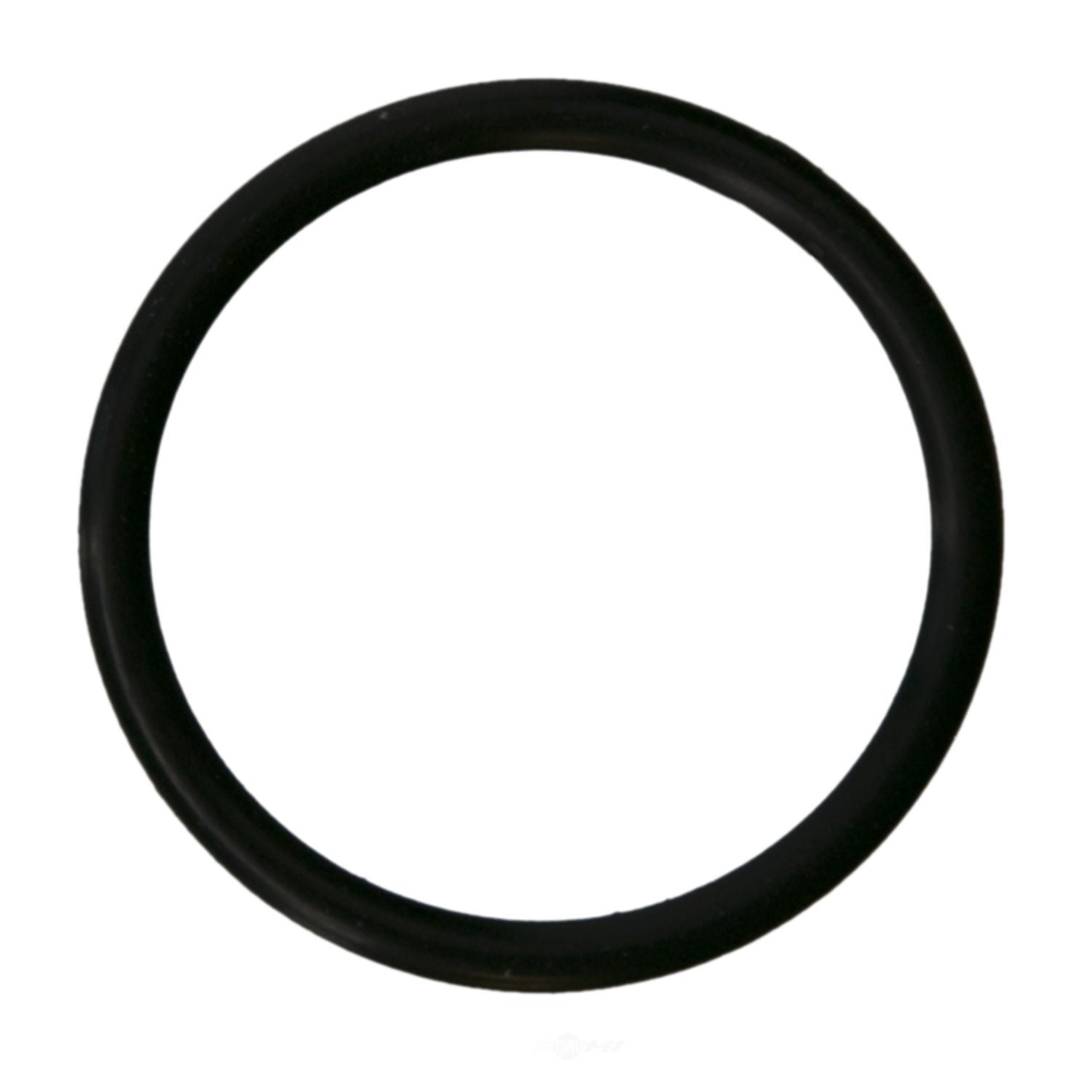 Water Pump Mounting Gasket   Fel-Pro   36099
