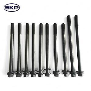 Head Bolt  Skyward Automotive  SKHB012