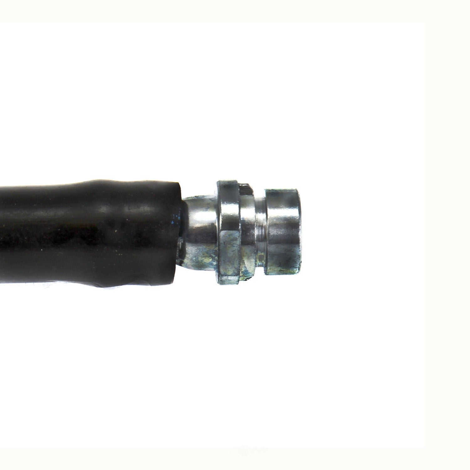 Rr Brake Hose  Centric Parts  150.20310