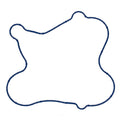 Water Pump Mounting Gasket   Fel-Pro   35995