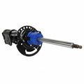 Frt Strut  Motorcraft  AST24650