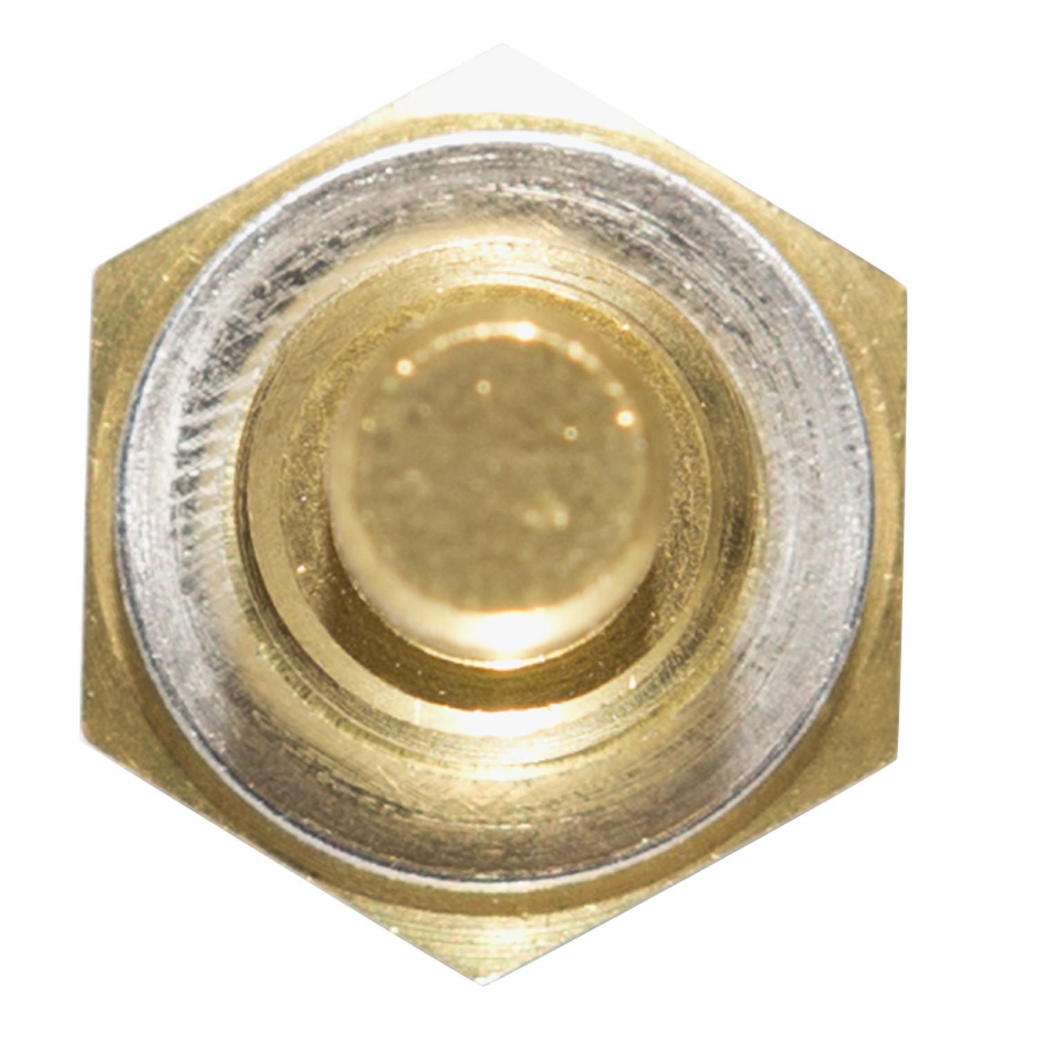 Coolant Temp Sensor  Delphi  TS10253