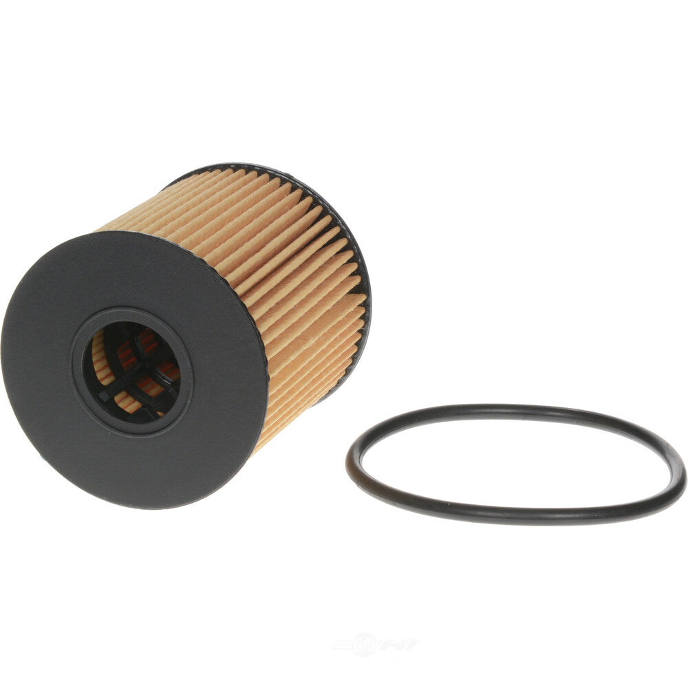Oil Filter  Champ/Champion Labs  P978