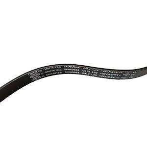 Serpentine Belt  Skyward Automotive  SK060663