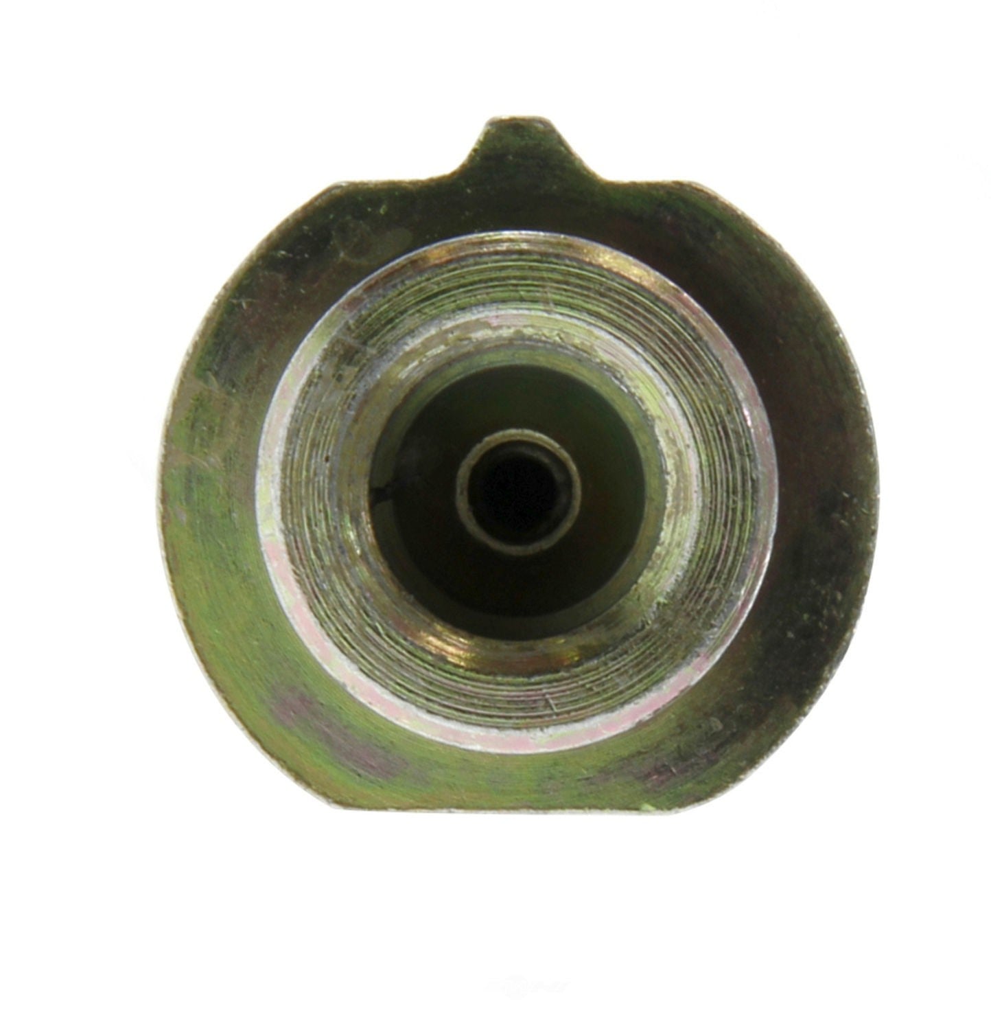 Rr Brake Hose  Centric Parts  150.42005